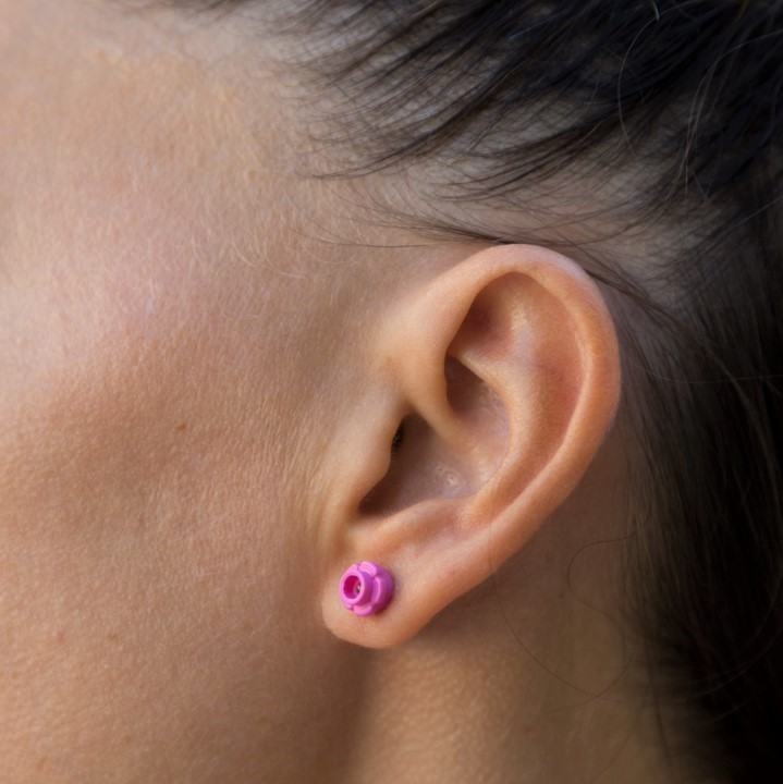 Colorful mini flower earrings