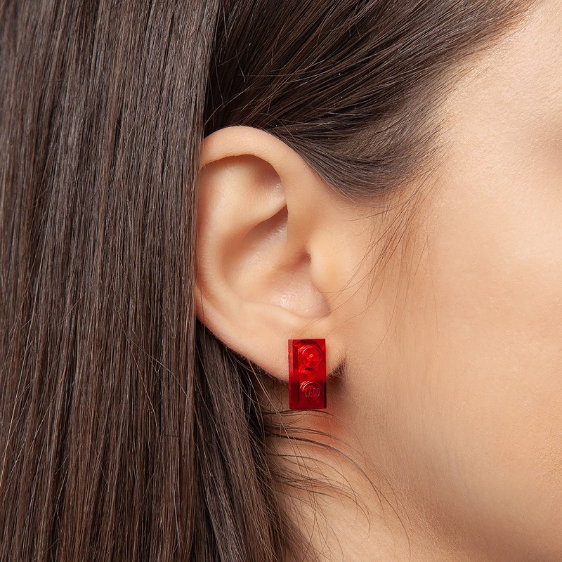 Transparent stud brick earrings 1×2
